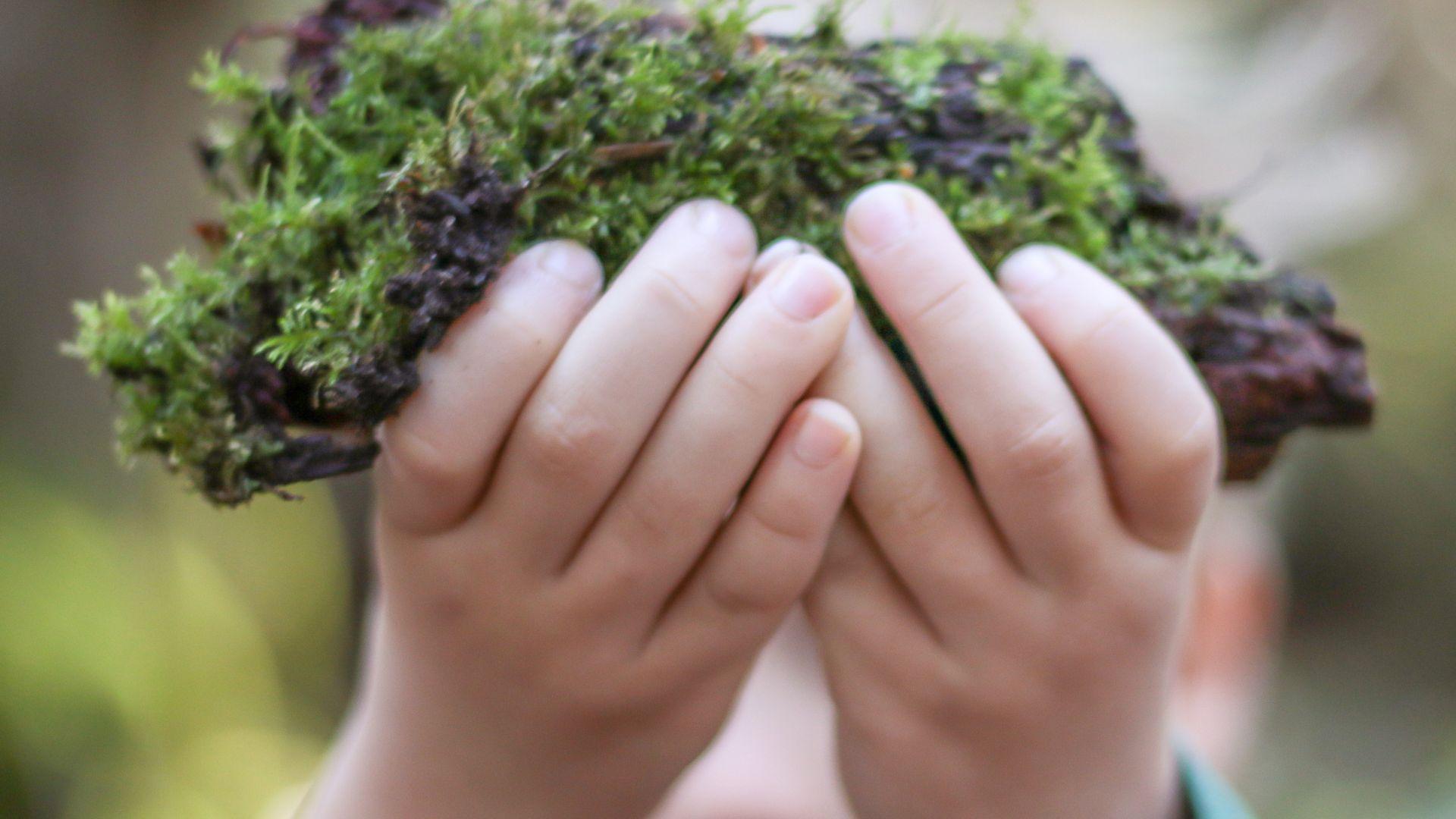 Een kind vond in het bos een natuurschat, namelijk een stuk boomschors met mos.